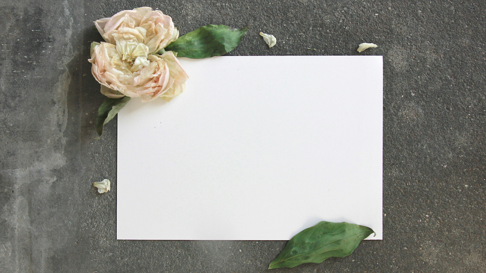 Is Paper Biodegradable