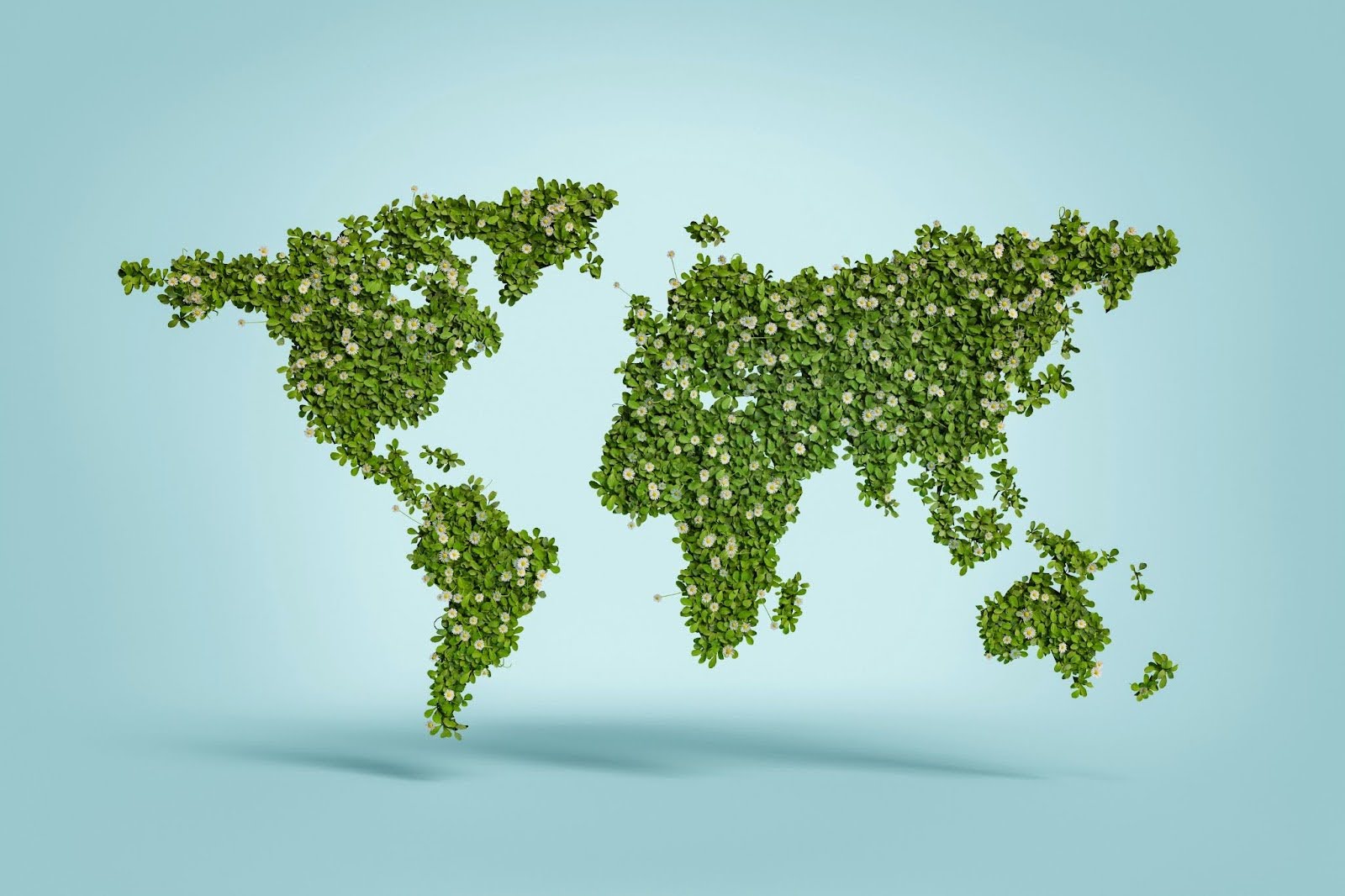 Which is Better for Eco-Friendliness: Waterproof or Laminated?