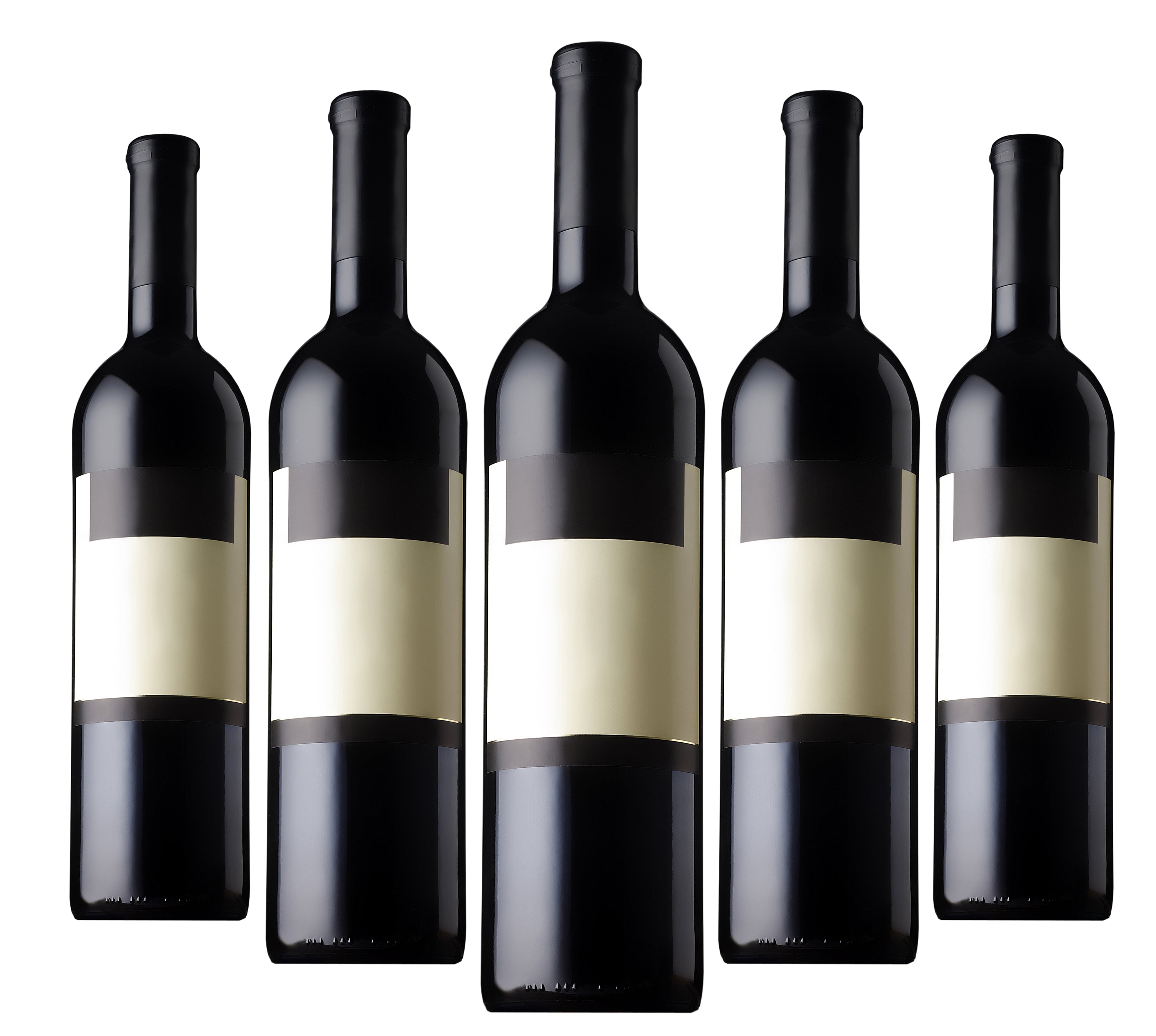 Waterproof Adhesive Sample Pack - TerraSlate Inc.