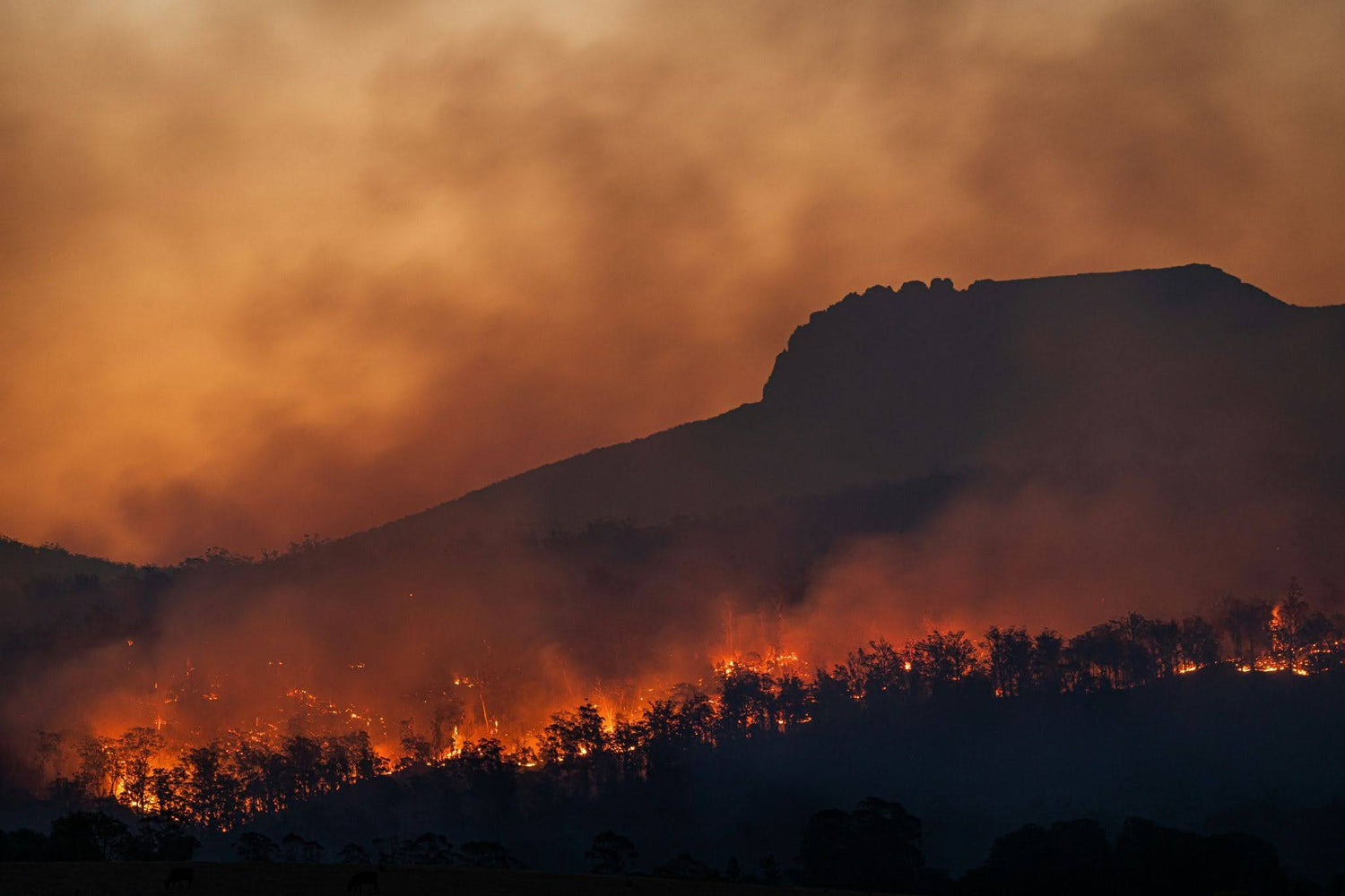 Best Paper for Printing Wildfire Evacuation Zone Maps