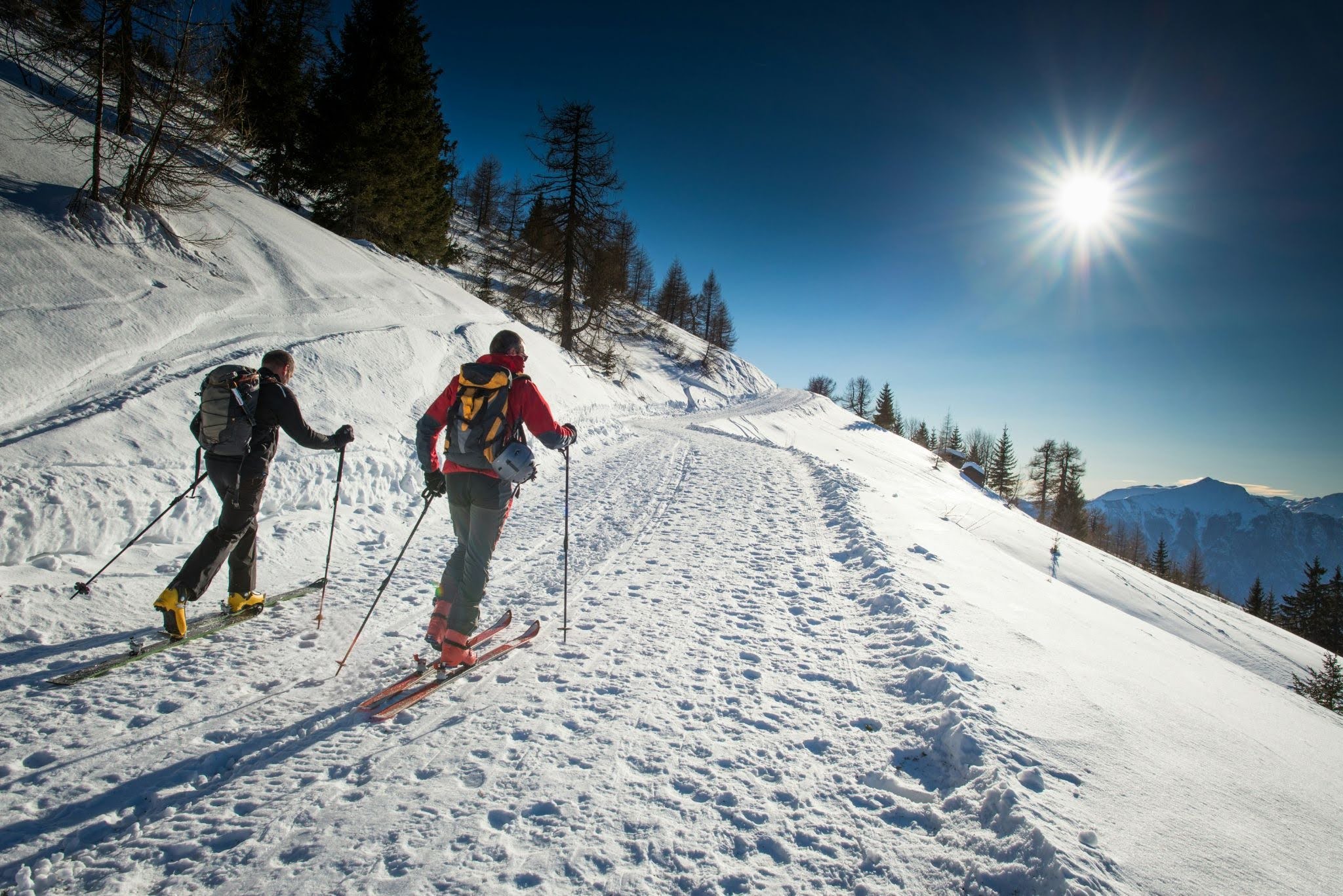 Best Waterproof Paper for Printing Ski Trail Maps and Resort Guides