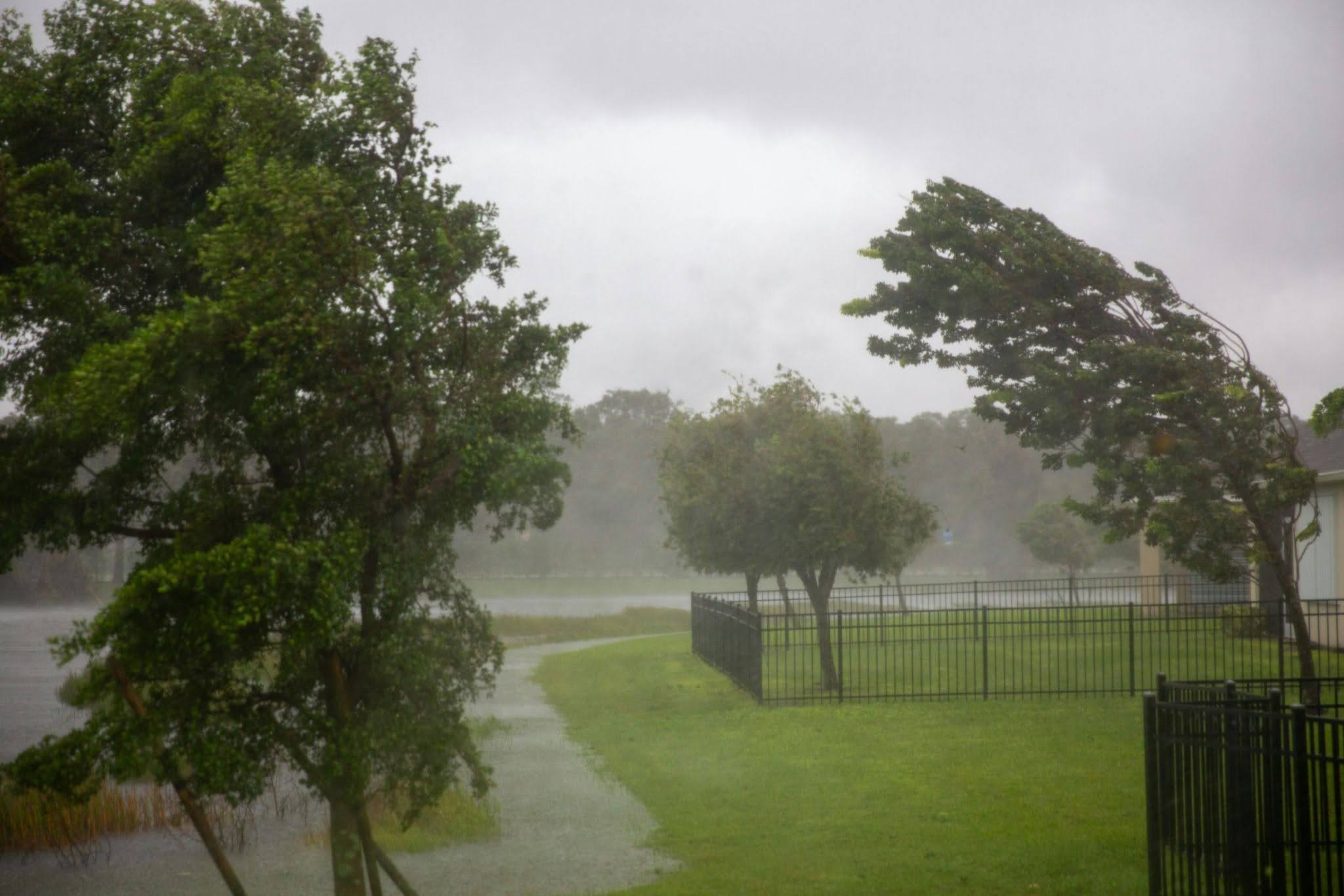 How to Waterproof Important Documents Before Hurricane Season