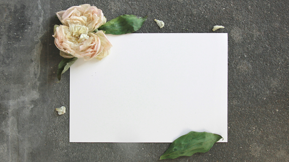 Is Paper Biodegradable