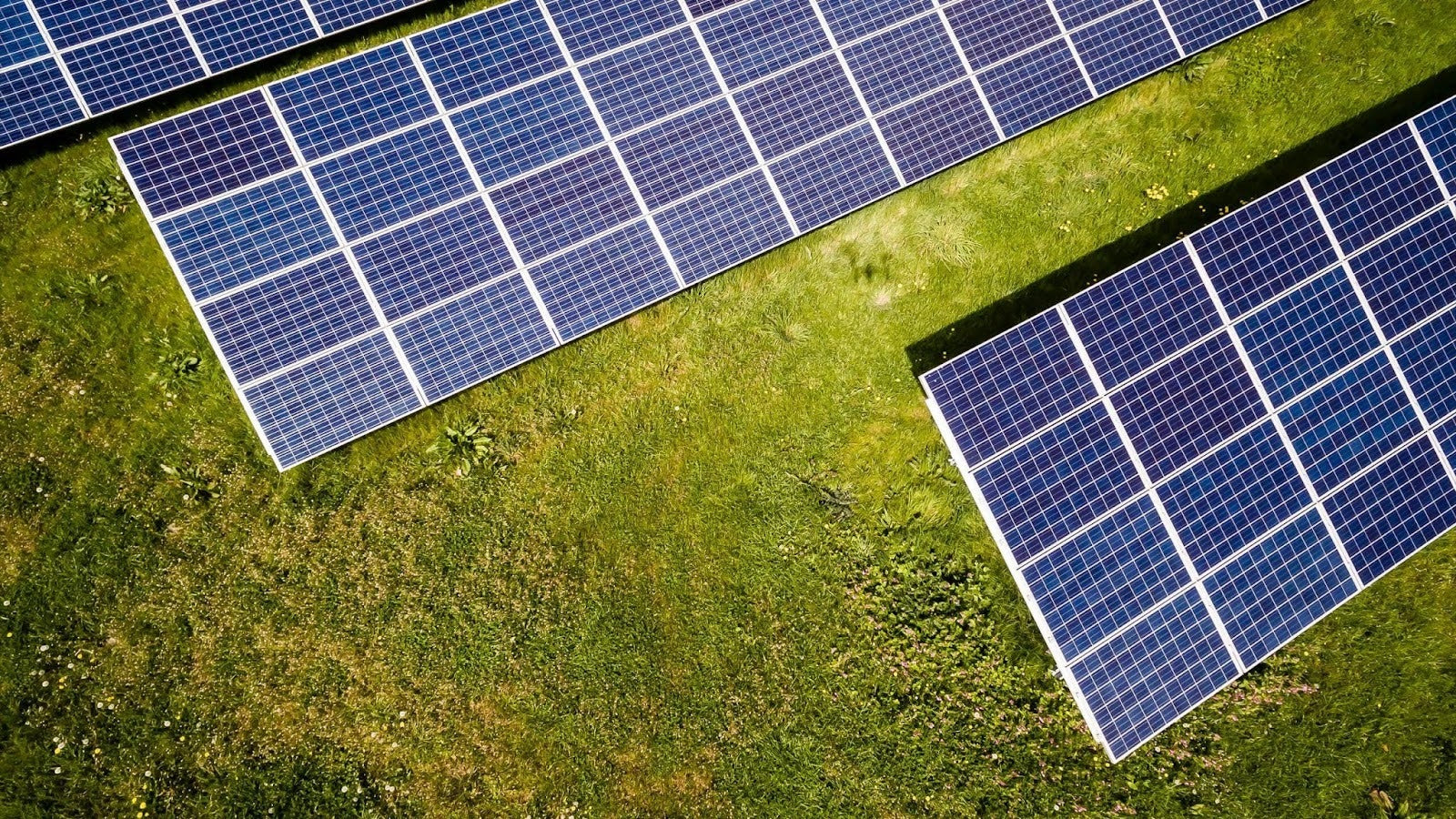 Solar Panels on a Large Grass Field 