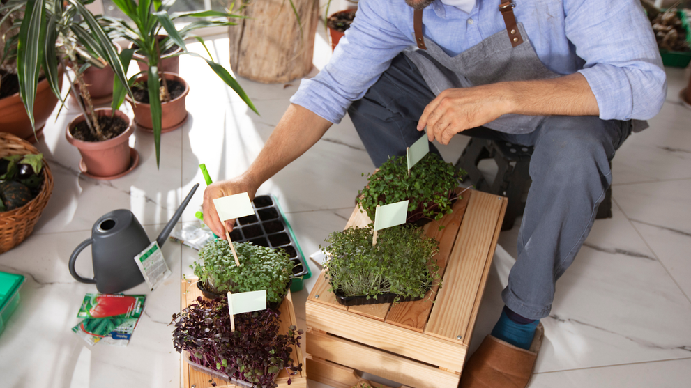 Waterproof Plant Labels for Long-Lasting Gardens