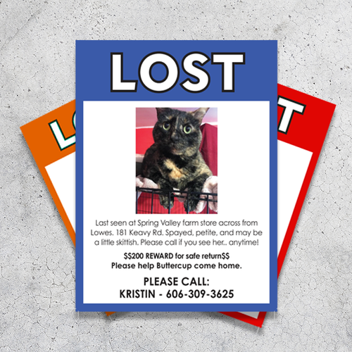 Waterproof & Rip Proof Lost Pet Flyers 8.5" x 11" - 8 Mil - TerraSlate Inc.